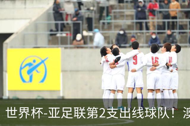 世界杯-亚足联第2支出线球队！澳大利亚0-0巴拉圭获小组第2